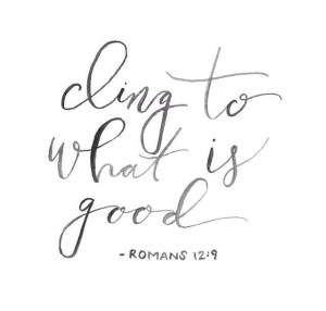 1aca051c2dcfcd9cb2295809b6d42e86